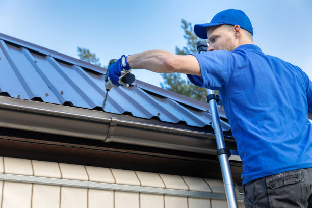 Best Metal Roofing Installation  in Memphis, MI