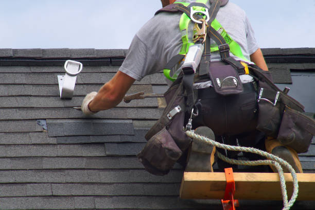 Best Roof Installation  in Memphis, MI