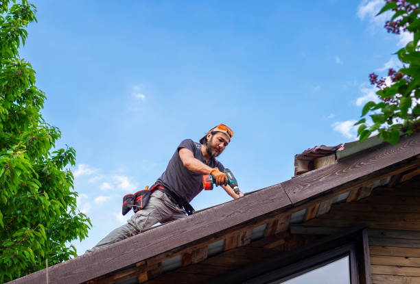 Best Metal Roofing Installation  in Memphis, MI