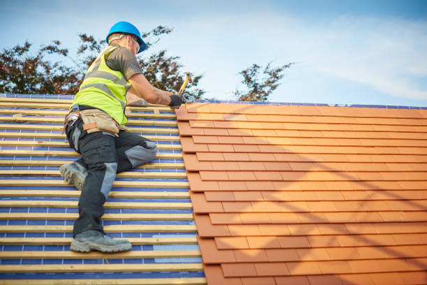 Memphis, MI  Roofing repair and installation Company